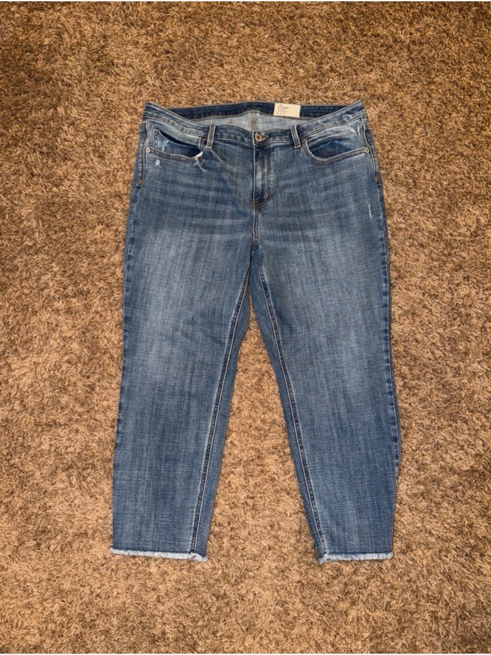 Cosmic Blue Love Cropped Jeans with Frayed Hem 16W - Picture 2 of 5